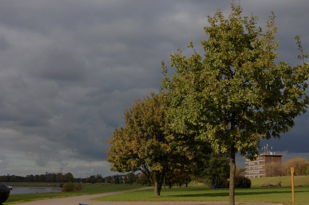 Regenwolken am Rhein(strichweise Sonne) by der  Schatten