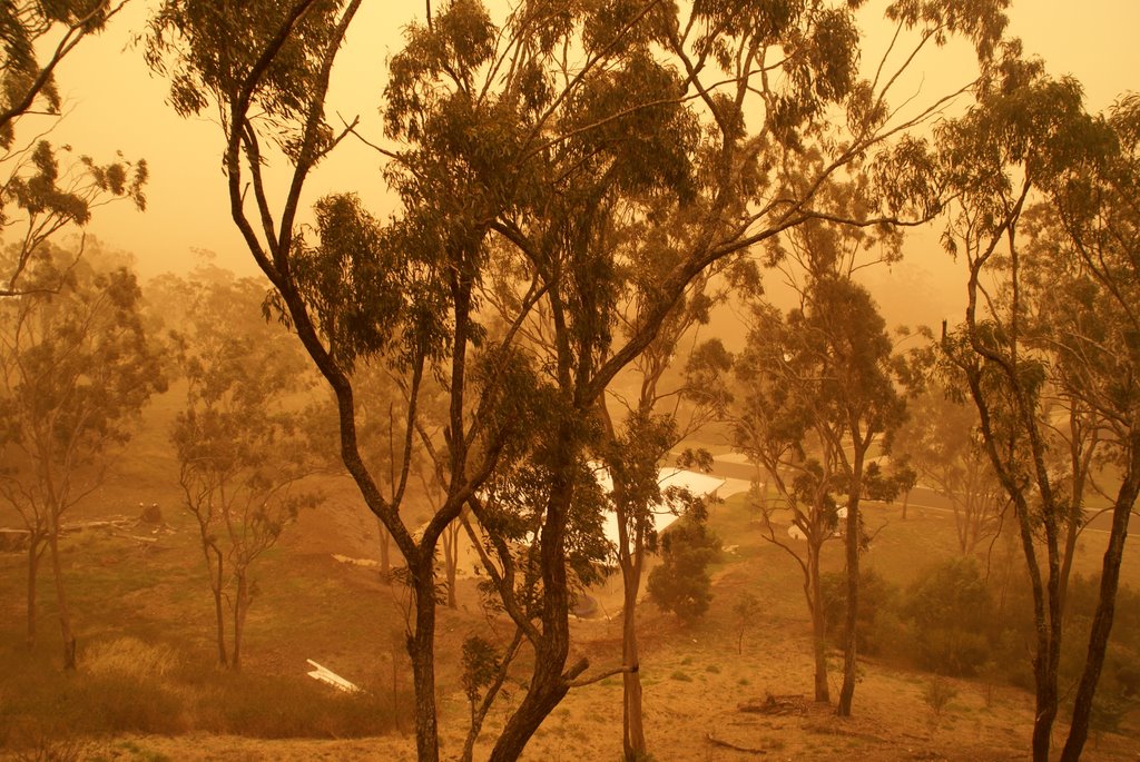 Dust Storm (23 Sept 09) from our deck by Peter & Shelly