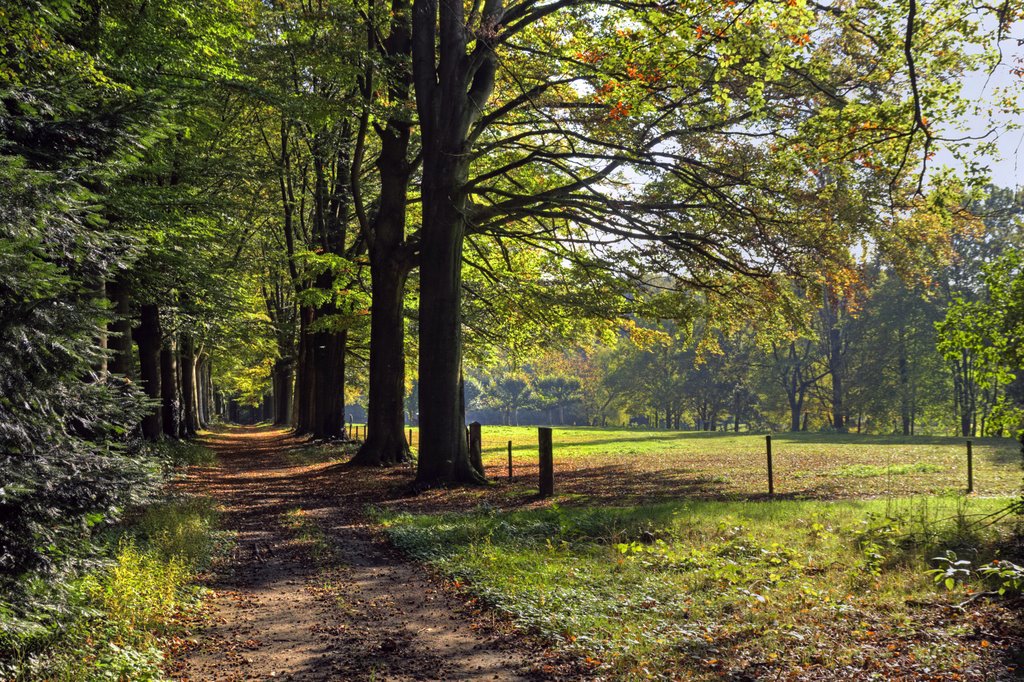 Mooie herfstdag / beautiful autumn day by Bert Kaufmann