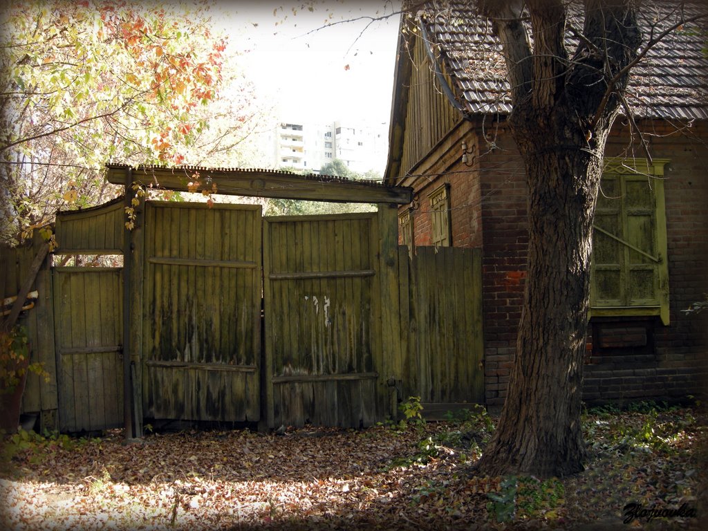 Old house by Zlojvovka