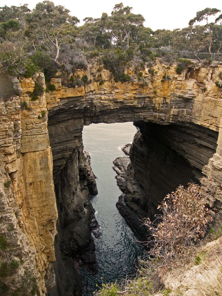 Tasman Arch by nipper30