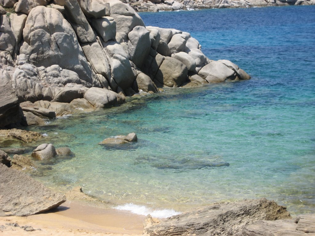 Cala spinosa by angylever