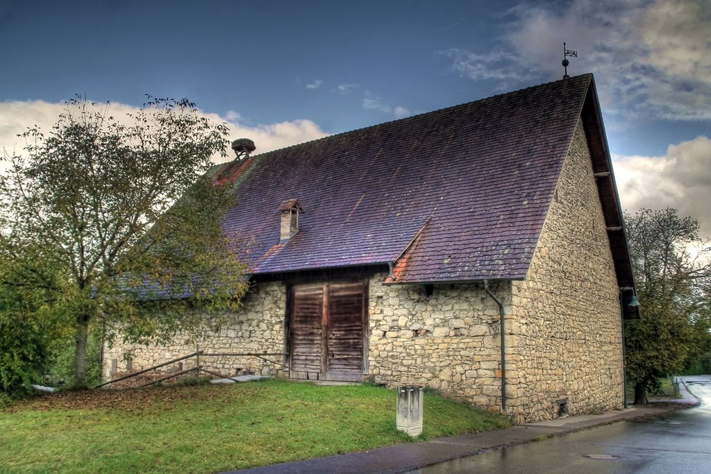 Scheune mit Storchennest - HDR by Strucki