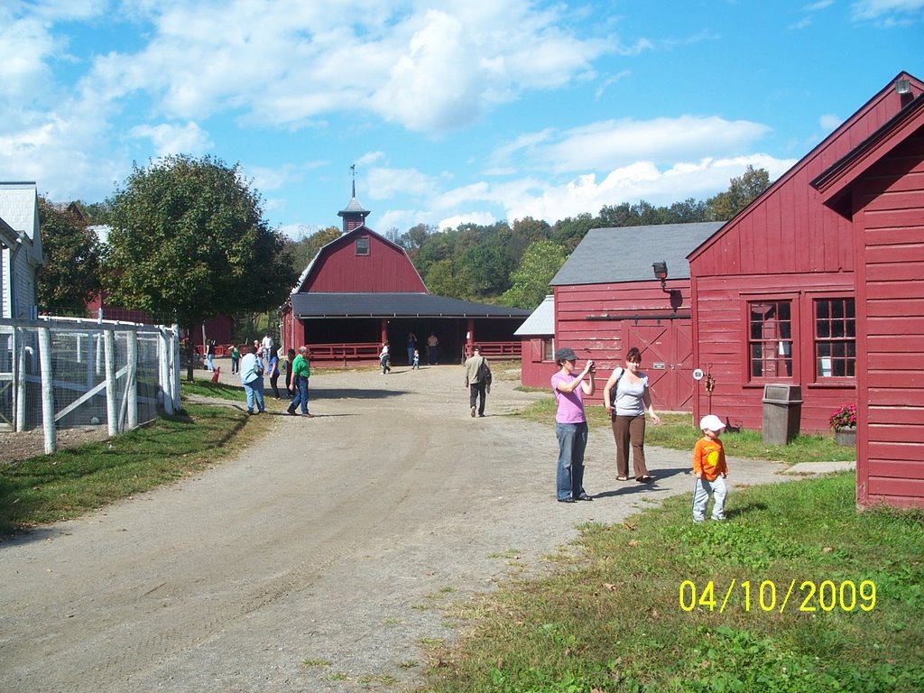 Muscoot farm , NY by Fusa