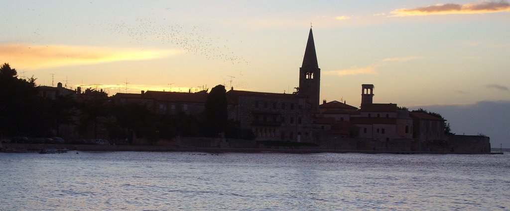 Porec birds at dusk by ecosse111