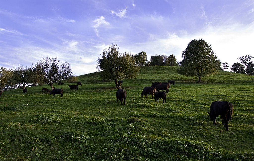 Freistenbuck_Ruine_Freienstein by MaCello