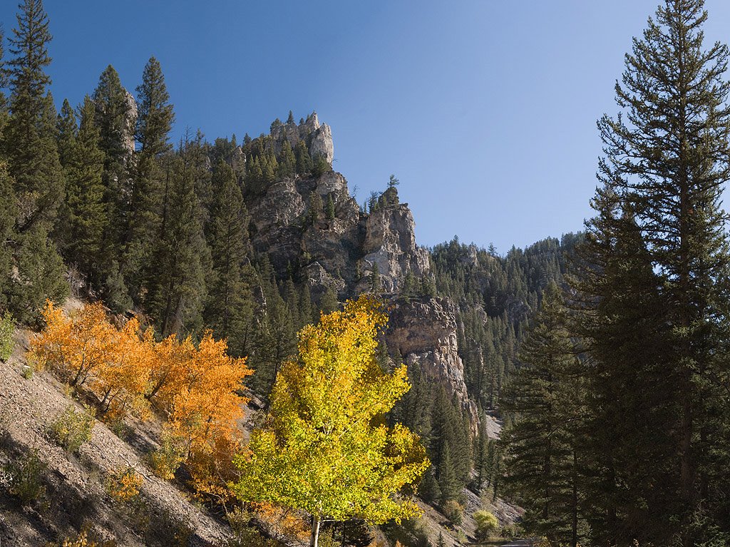 Autumn colors on Storm Castle Creek Road, near Spire Rock by Jerry Blank