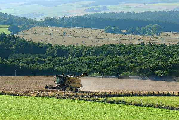 Harvesting at Stonehaven by GDavidson