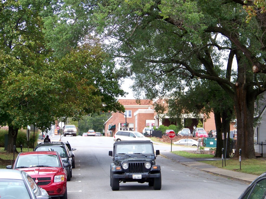 Roanoke Street by Idawriter