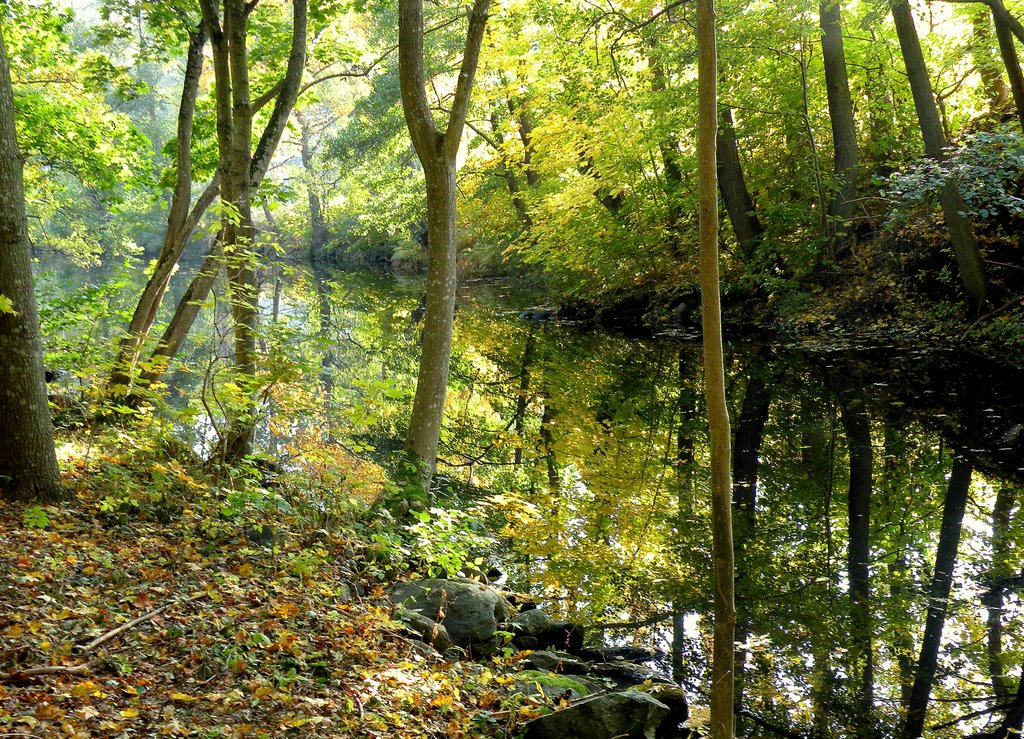 Nättraby river by KaSuMa