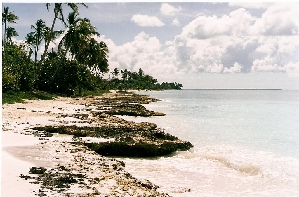 Plage à quelques mètres du coral canoa by fandestropiques