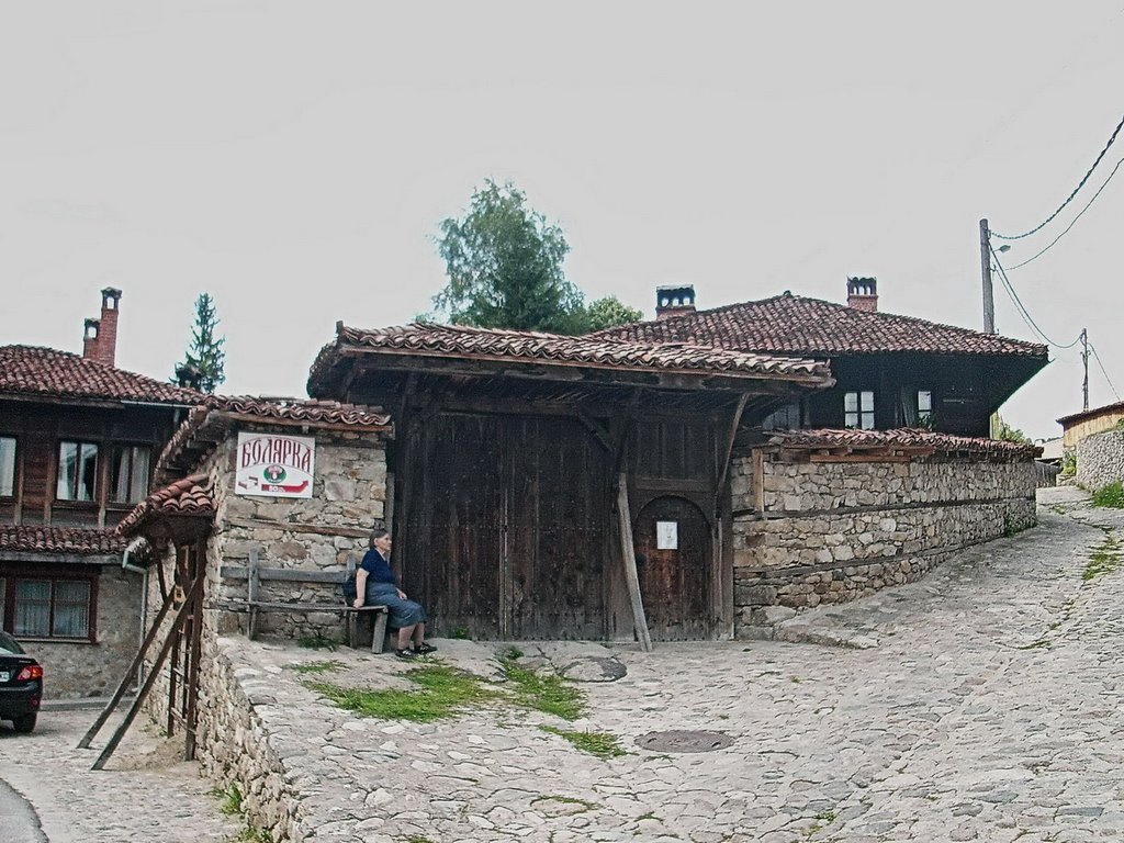 THE OLD HOUSES OF KOPRIVSHTITZA - BULGARIA by gor.maja