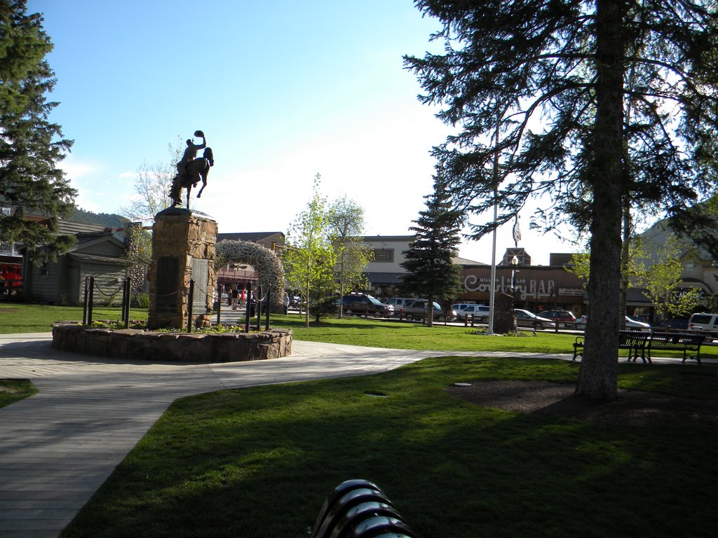 Jackson Hole City Park by Davide Barzaghi