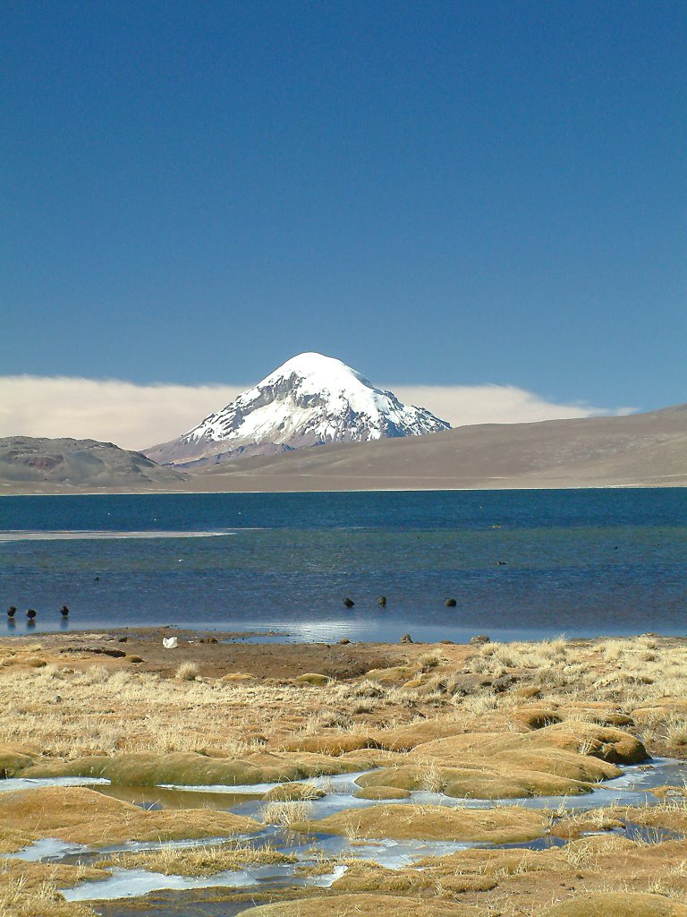 Parcue National Lauca, Sajama by Ronh