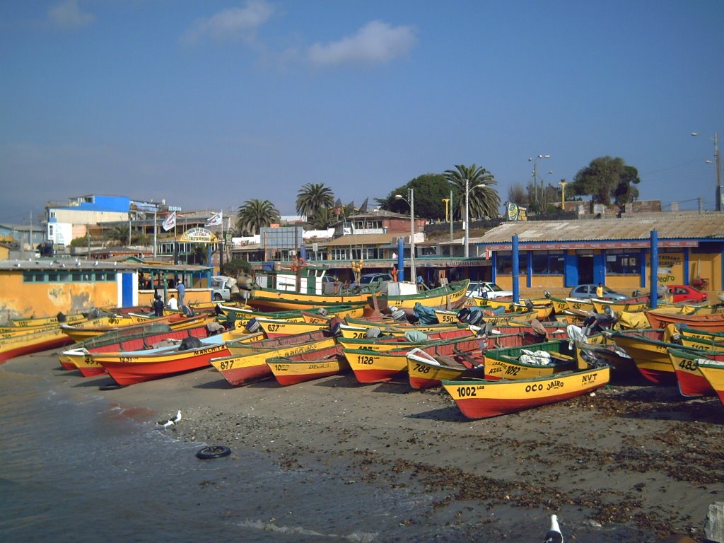 Caleta de Los Vilos by José Pedro Martínez