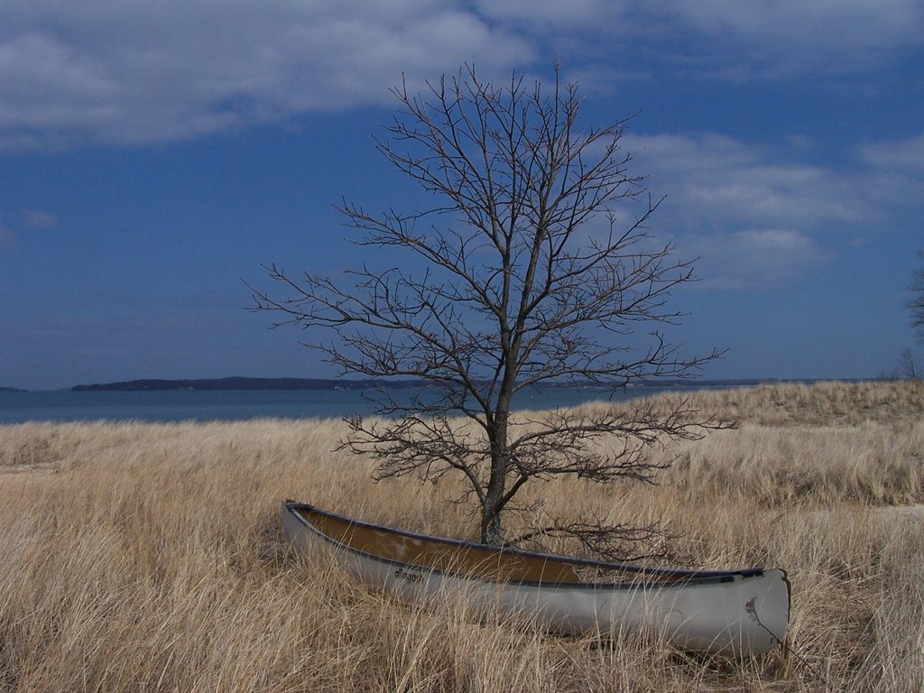 Goose Creek Canoe by cupcakedturtle