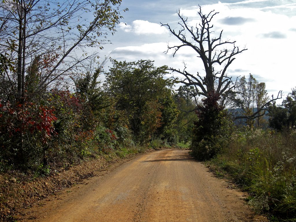 Warf Road by philipcmarshall