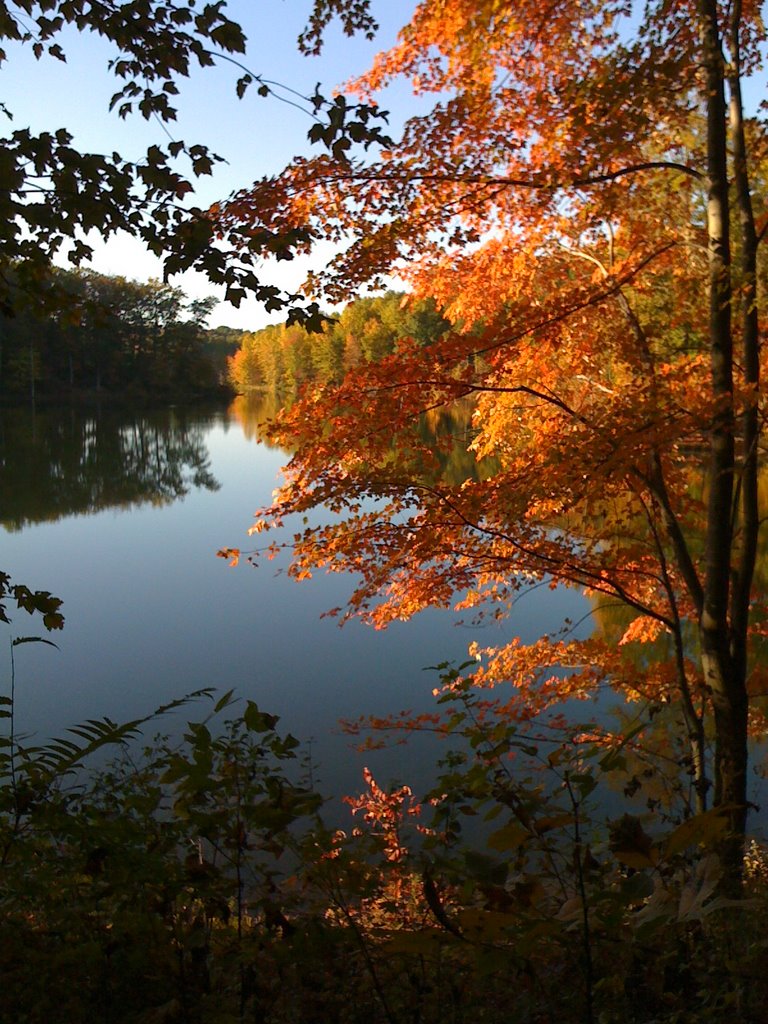 Fall color begins on Lake Little Seneca 2009 by scenographer