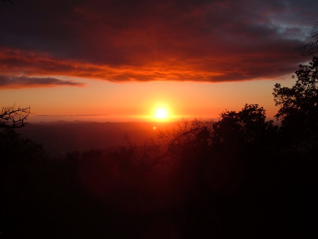 Jan 2006 - Palomar Mountain State Park, California. Sunset from Palomar. by BRIAN ZINNEL