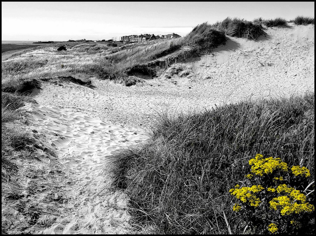 DUNES by Happy Snapper