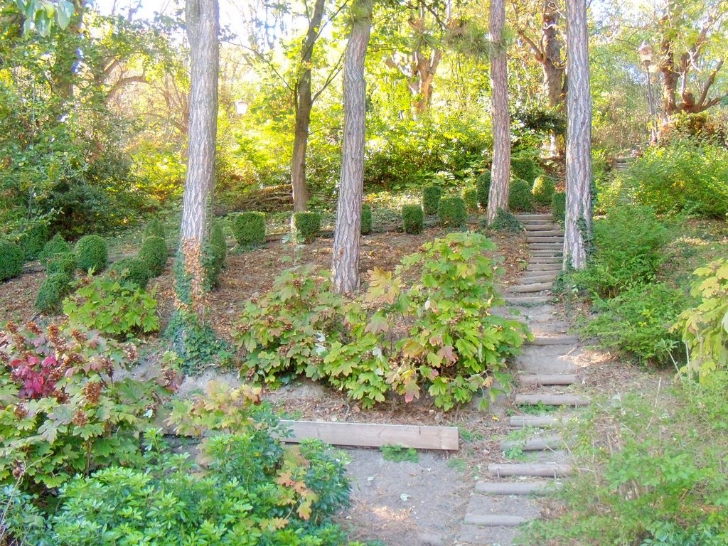 Parc au pied de fourvière by fred banchet