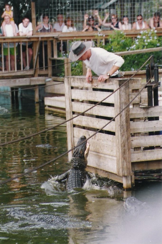 USA, Florida, Gatorland by Sil'07