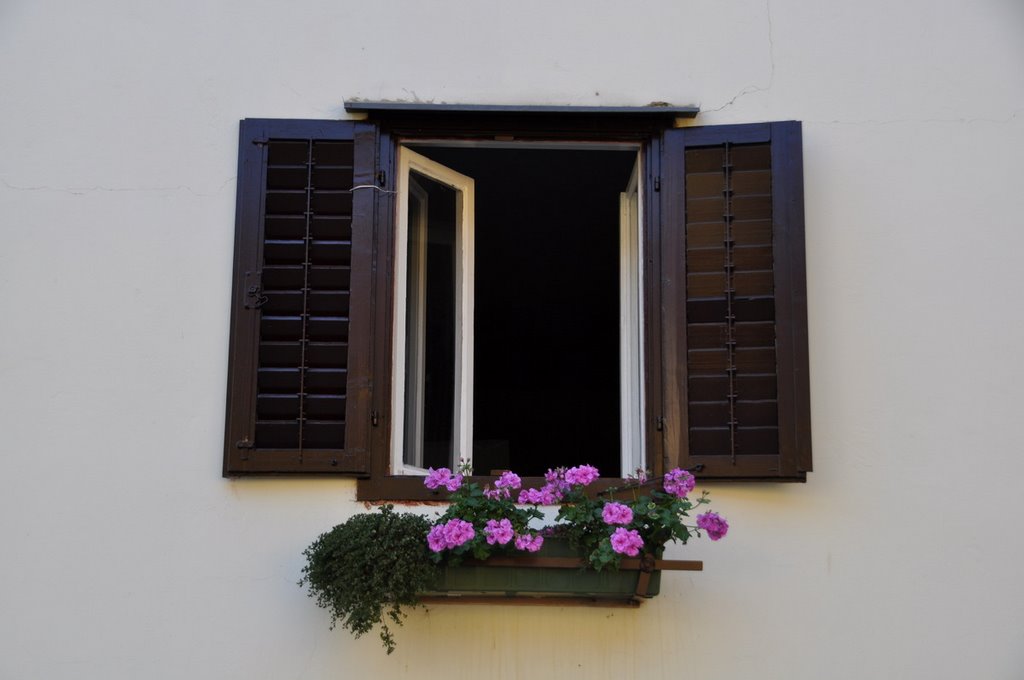 Varazdin, Ventana con jardinera by magoncan