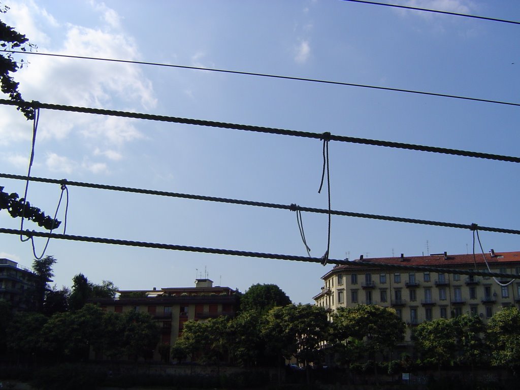 Il Ponte di Corda Più Lungo del Mondo 7 by Mario Antonio Rossi