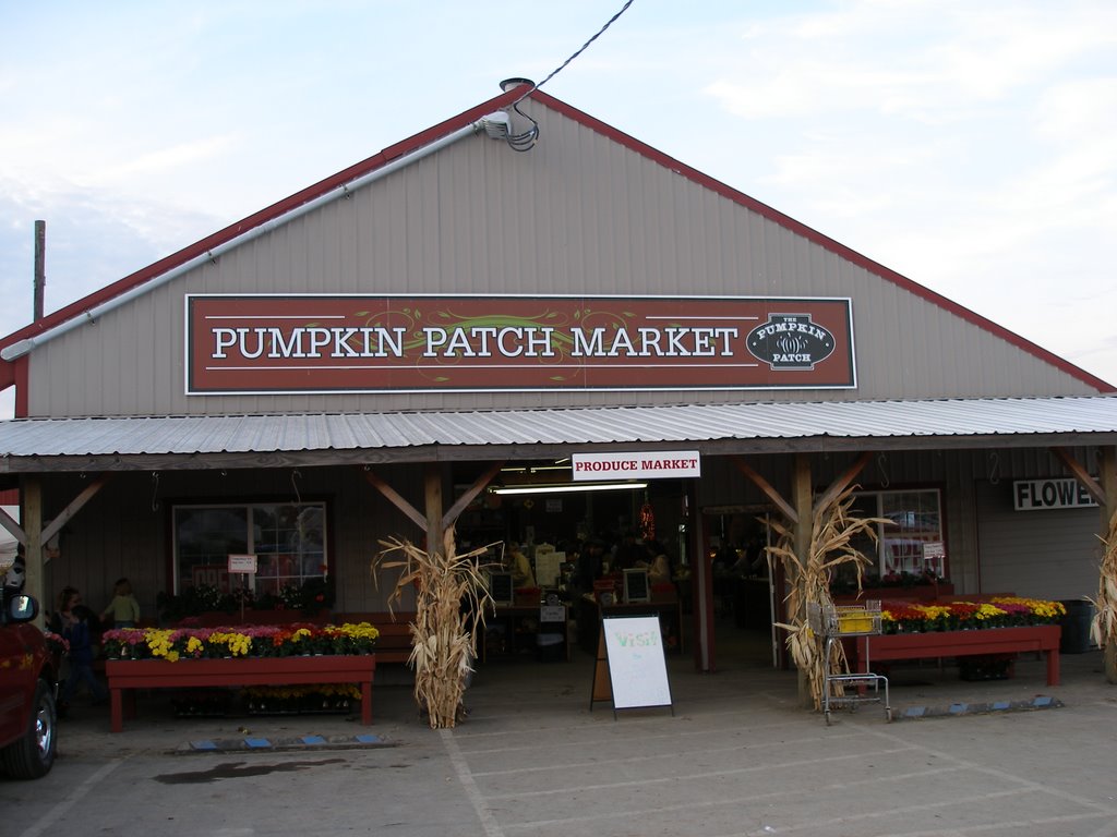 Pumpkin Patch Market by OLDNAVYBOY