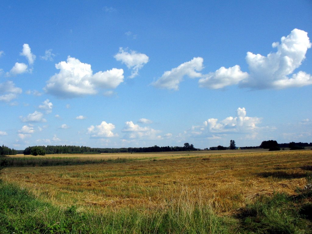 Jasieniec Solecki - Kolonia by Kaska