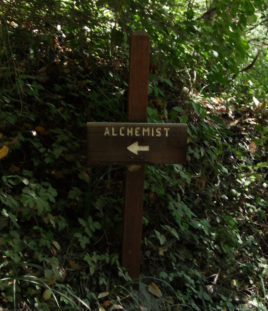 Alchemist trail, Camp Tamarancho bike trail by Tom Wright