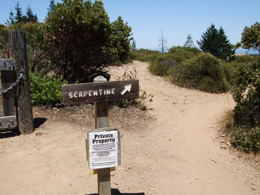 Serpentine Trail. Camp Tamarancho bike trail by Tom Wright