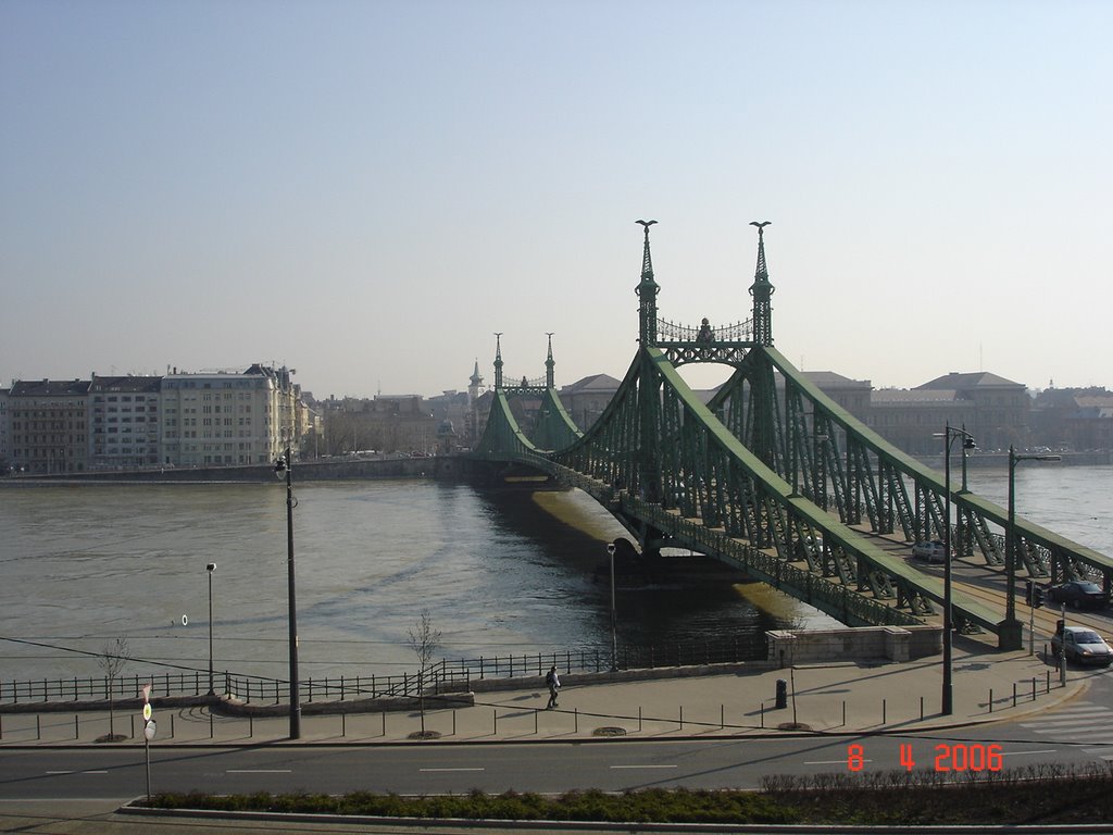 Liberty Bridge, Budapest by Seref Halicioglu