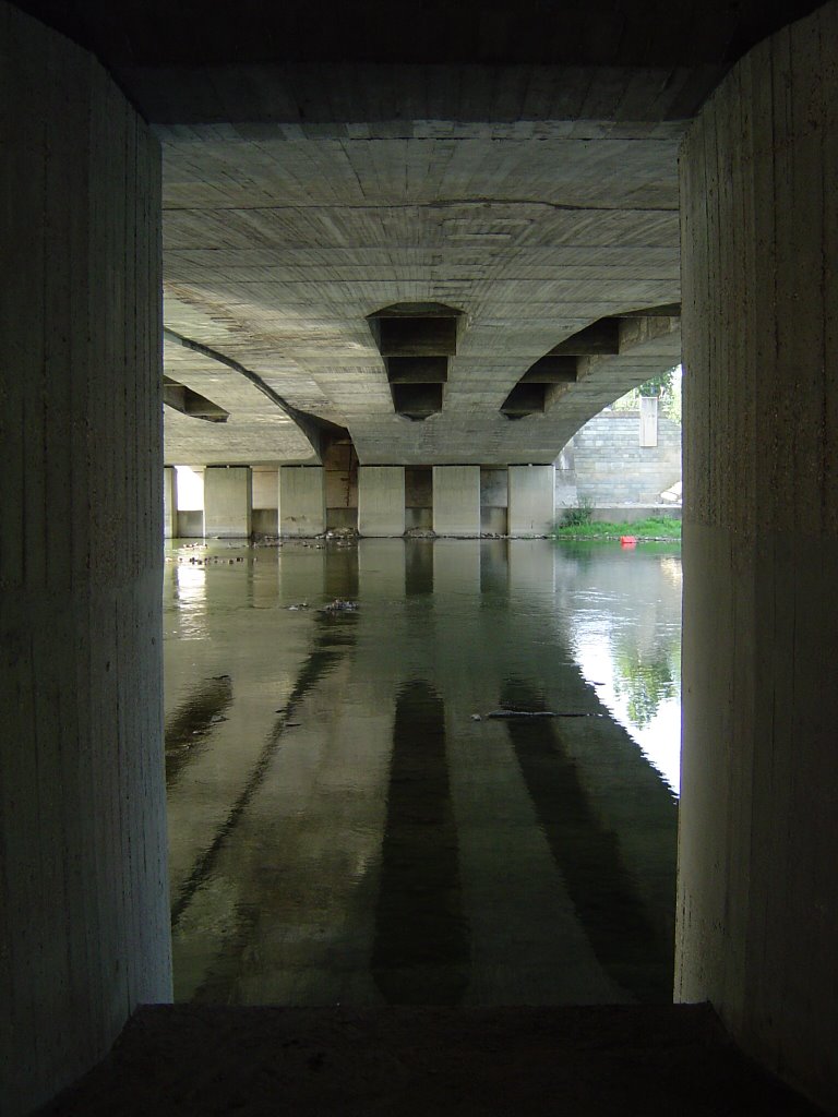 Ponte Regina Margherita 8 by Mario Antonio Rossi