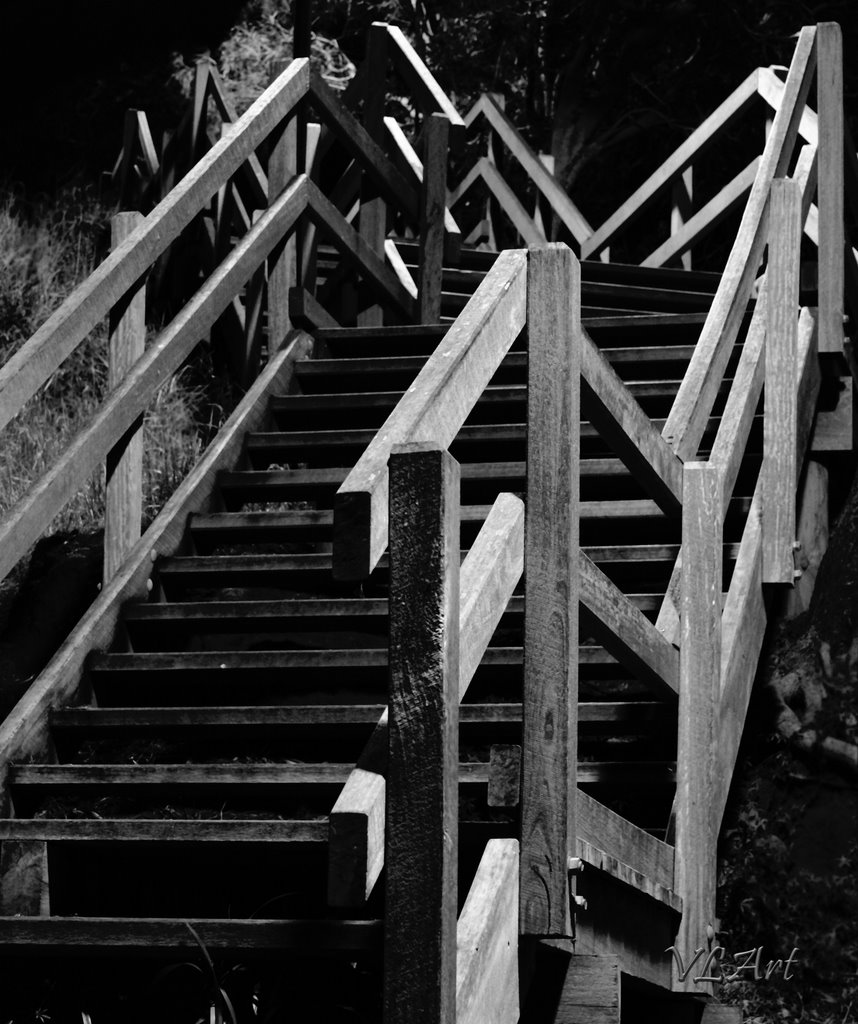 Timber stairs by victor_blagovici