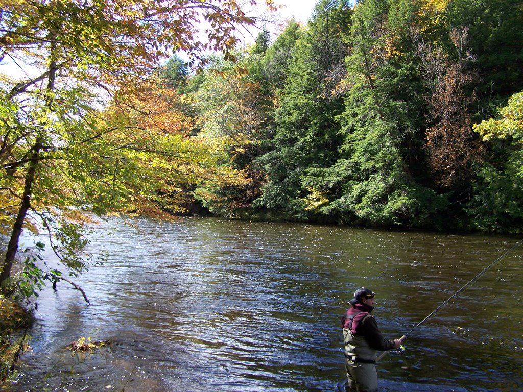 Trout time by Ron Shawley