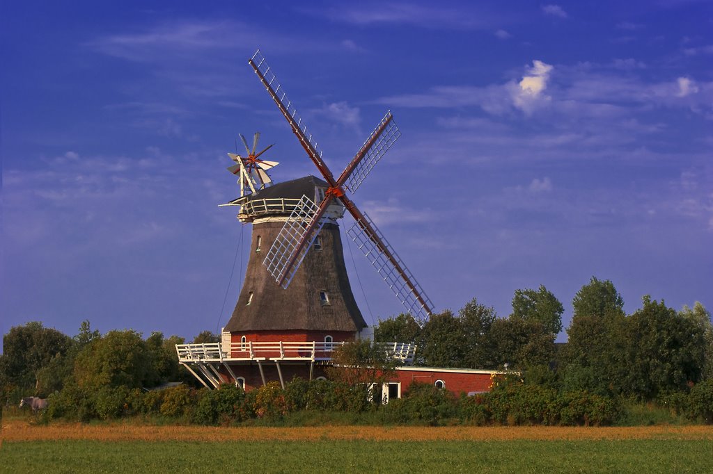 Die Windmühle in Oldsum auf Föhr gehört zum Typ Galerieholländer. by Reiner Vogeley