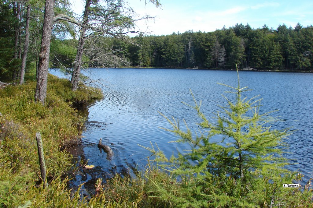 Sylvania Wilderness: Florence Lake by J Belote