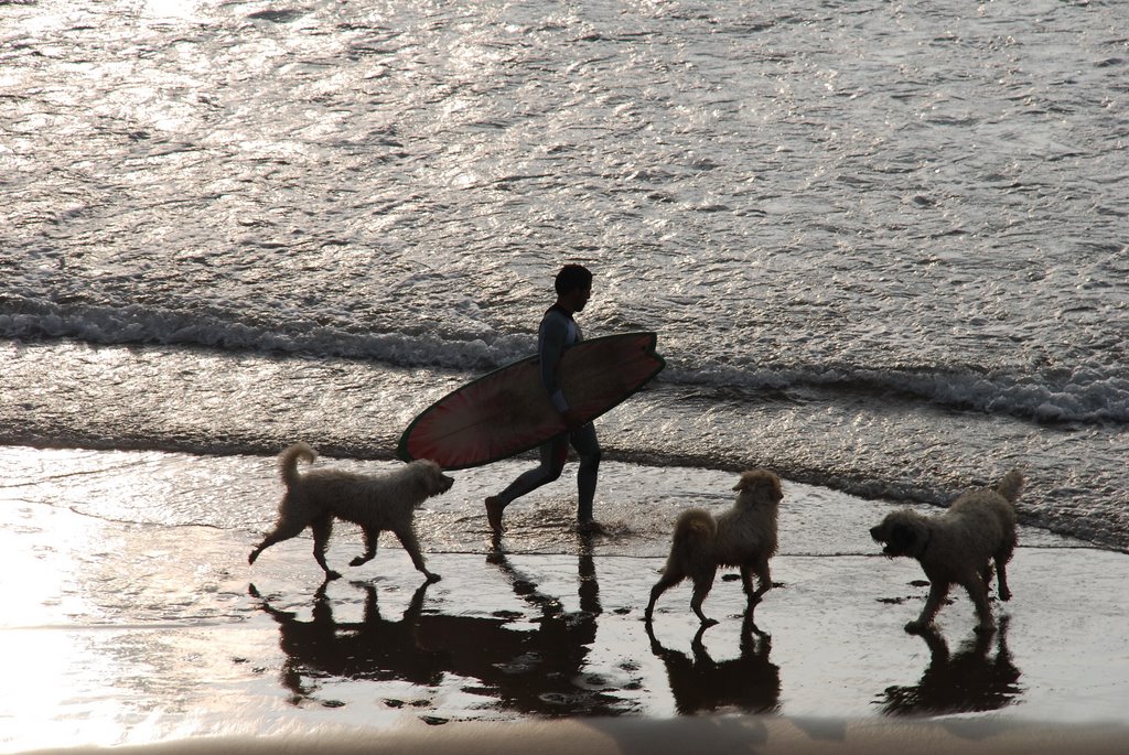 Surf by Borja Saracho