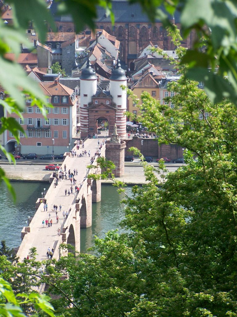 Karl-Theodor-Brücke und Brückentor by RalfH