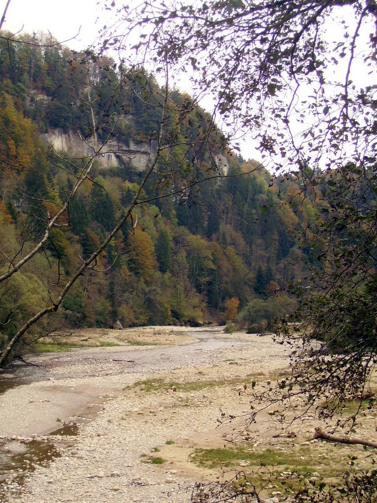 Sense, border between Canton Bern and Fribourg by saschafuchs