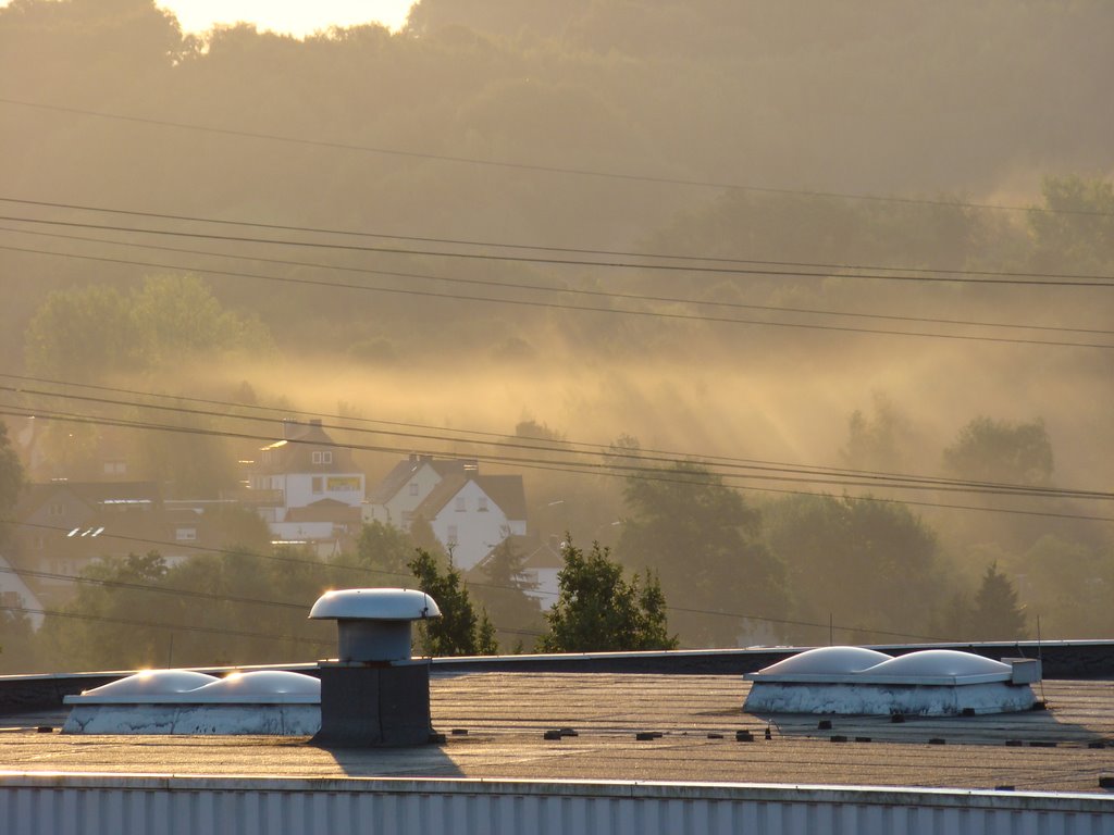 Goldener Morgen by Windbergbewohner