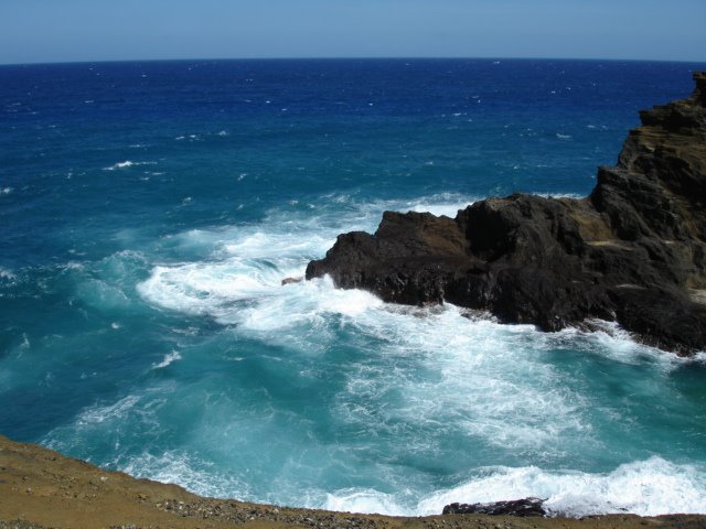 East Shore Ohau by George Curtis