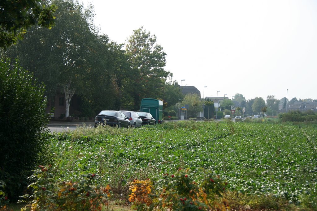 Birkhofstraße und Feld by mameghani