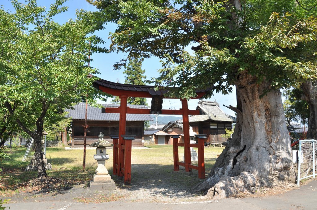 Suwa-Jinja 諏訪神社 (2009.09.21) by k.takita