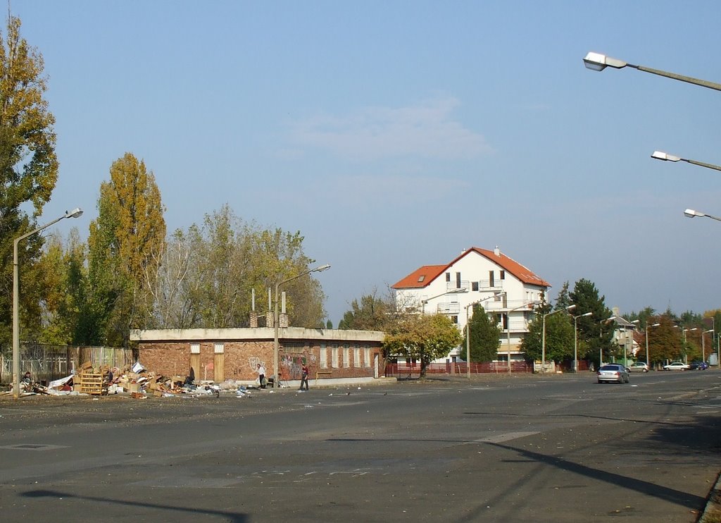 200910251321 Zuglói utcakép, Bosnyák utca (View of street in the 14th district) by Kornél2009