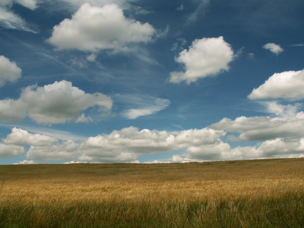 Letné pole a úžasná obloha - summer field and stunning sky by © markusino