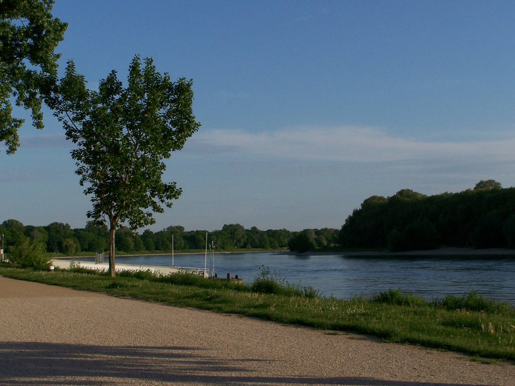 Der Rhein am Abend by RalfH