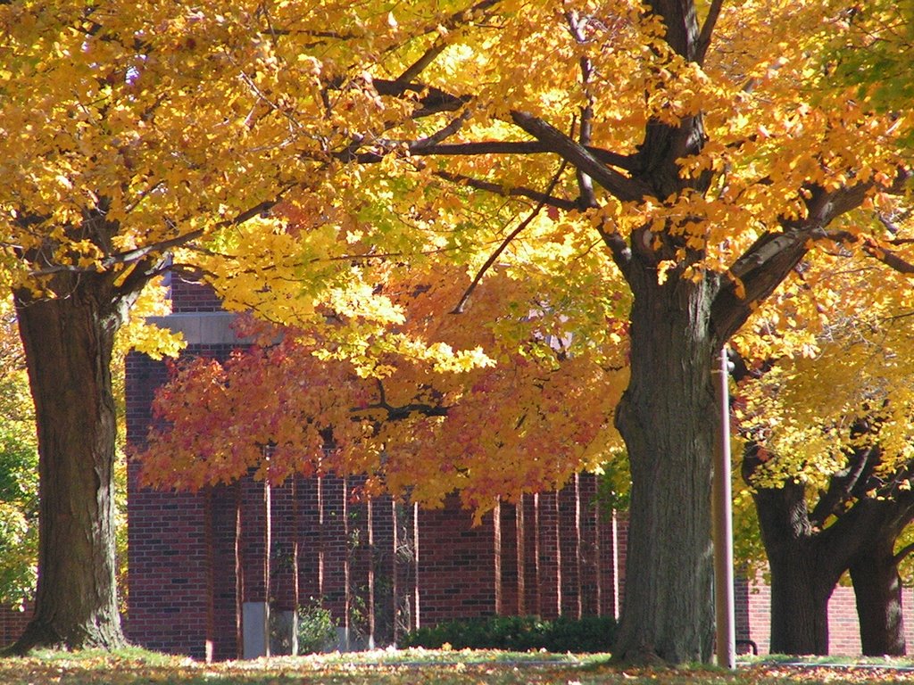 Chapel Walk at Le Moyne College by leuven1987