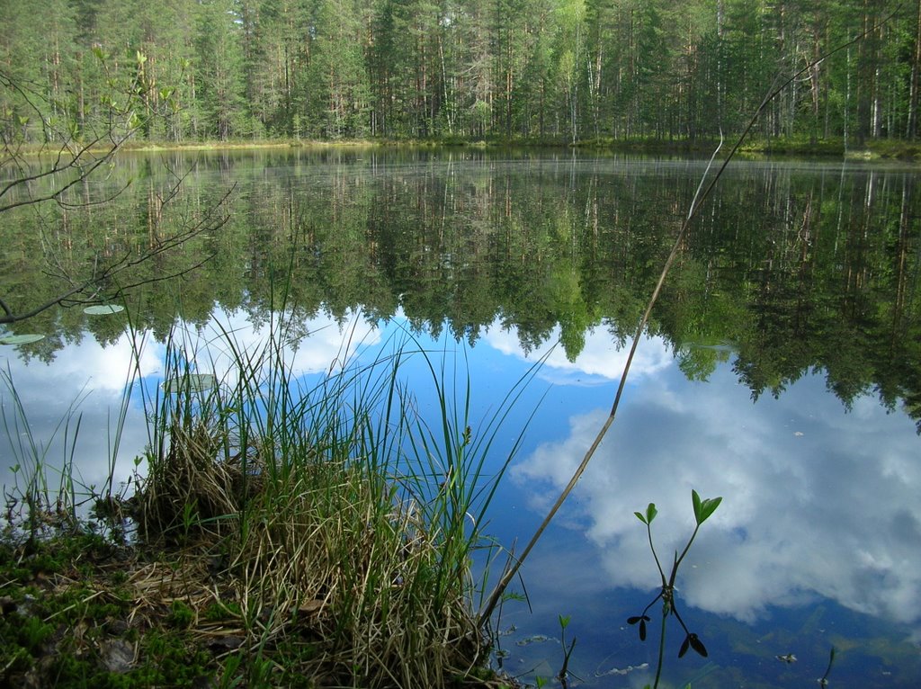 Reflections by Petteri Kantokari